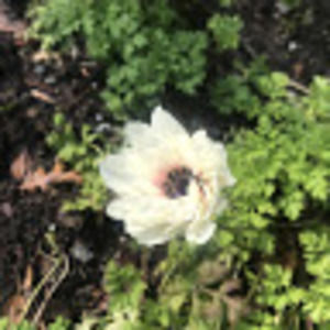 Meet your Posher, Latrina